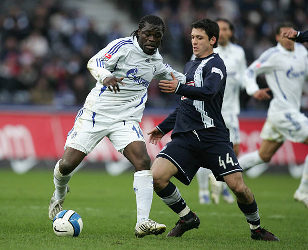 这一言论背 这一言论背